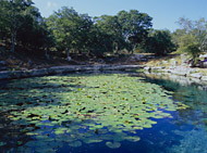 Cenote at Dzibilchaltun - dzibilchaltun mayan ruins,dzibilchaltun mayan temple,mayan temple pictures,mayan ruins photos